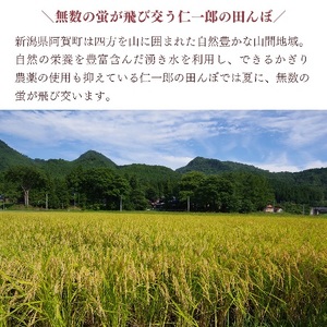 ＜定期便4回＞ 米 10kg 《 新米 新潟県産 コシヒカリ 》 令和8年産 奥阿賀 仁一郎 5kg×2袋 | こしひかり 白米 精米 送料無料 お取り寄せ お米 ※2026年9月下旬頃より順次発送