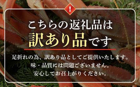 【先行予約】【訳あり】越前がに 大サイズ × 1杯【2027年2月上旬以降順次発送予定】獲れたて 越前がに [m36-x006_02]