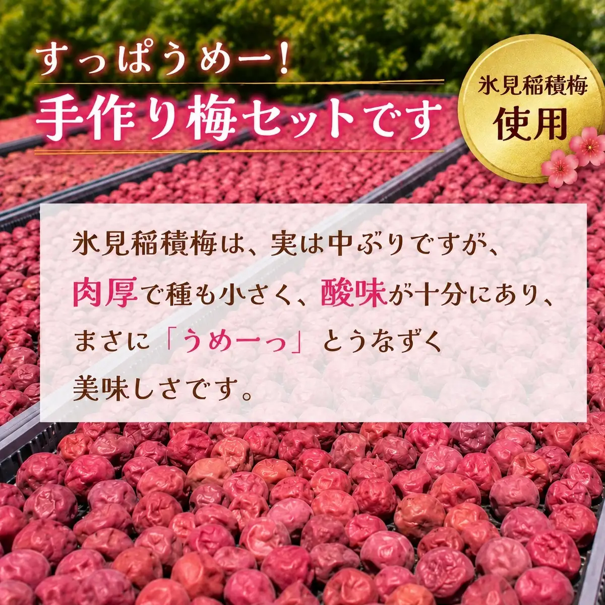うめーっ！氷見稲積梅 梅干し・しそ粉・梅肉セット 富山県 氷見市 梅干 しそ 酸っぱい