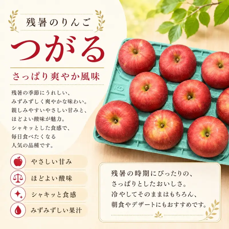 先行予約りんご「つがる」3kg 盛岡りんご つがる りんご工房きただRKK001