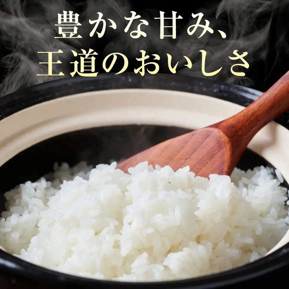 米 コシヒカリ 令和7年産 鳥取県産 3kg コシヒカリ