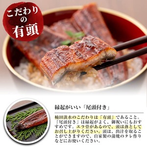 極うなぎ蒲焼130g以上×3尾(計390g以上)+釜揚げちりめん100g+福茶100g うなぎ 鰻 ウナギ 蒲焼 3尾 真空パック 鰻重 うな丼 ちりめん 一番茶 緑茶 冷凍 お茶 有頭 セット b4-015
