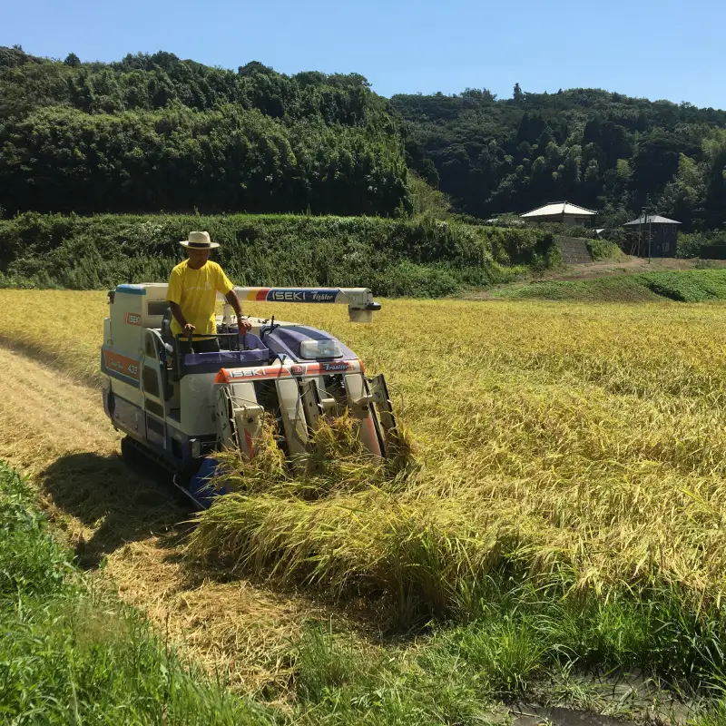 【新米】【令和8年産】南房総市産コシヒカリ白米10kg（5kg×2袋） mi0018-0015