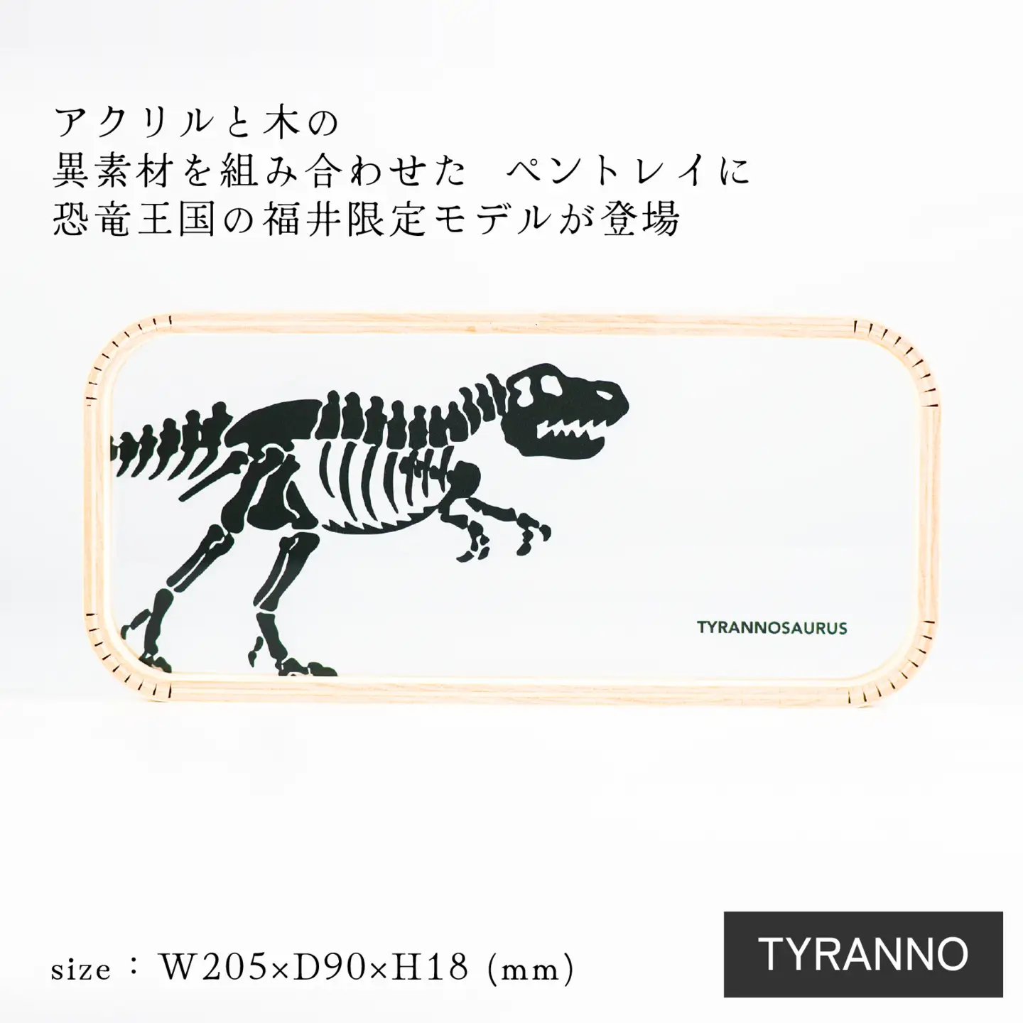 MOHEIM PEN TRAY (TYRANNO) [A-053011_01]