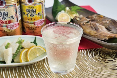 CD061 タカラ 焼酎ハイボール レモン 350ml 48本 (24本×2箱)