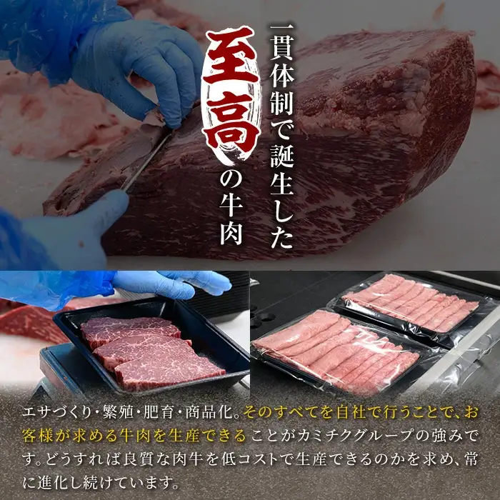 A5 等級 鹿児島県産 黒毛和牛 スライス 食べ比べ(合計1kg・200g×5種類)【LRプラスK】A494-v01
