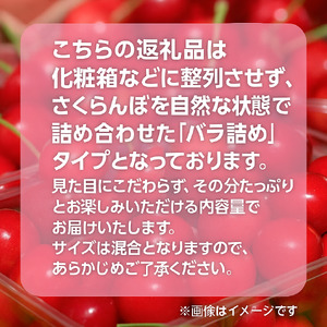 さくらんぼ 佐藤錦 350g 令和7年分 先行予約 バラ詰め サイズ混合（M/L/LL） ｜ 朝採れ もぎたて 農家直送 産地直送 果物 フルーツ 旬 新鮮 お取り寄せ ギフト 贈り物 サクランボ 福島県 大玉村 菊地果樹園 ｜ OT20-003-R7