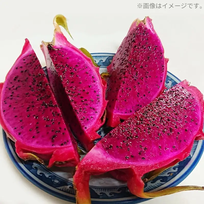 【2026年発送】熱帯果樹生産組合の完熟ドラゴンフルーツ 【レッドドラゴンフルーツ】　約2kg(3～7玉)- 赤 果肉 レッド ピタヤ スーパーフルーツ 先行受付 先行予約 人気 抗酸化作用 ベタシアニン おすすめ 国産 沖縄県 八重瀬町