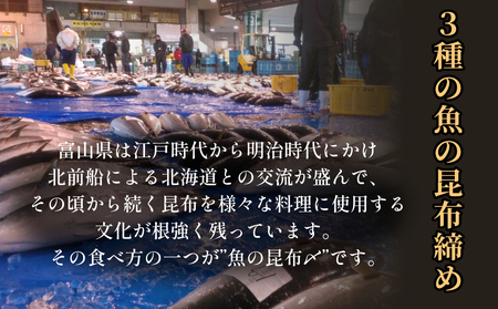 昆布〆おまかせ 120g×3個セット（魚種はおまかせ） ｜昆布締め 新鮮 小分け 冷凍 魚介類 魚貝類 昆布じめ 昆布〆 さしみ 氷見漁港 昆布 おつまみ 肴 魚 おかず セット 詰め合わせ 刺身セット 郷土料理 産地直送 富山湾 刺身 お刺し身 刺し身 富山 氷見 