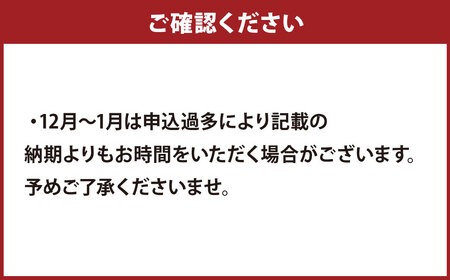 長崎揚げかんぼこと軍艦島の恵みセット かまぼこ 練り物 いわしバーグ 蒲鉾 セット