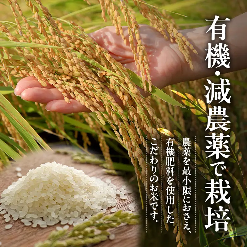 米 令和7年産 有機 ・ 減農薬栽培米 キヌヒカリ 白米 4kg（2kg×2） お米 精米 単一品種 単一原料米 国産 兵庫県産