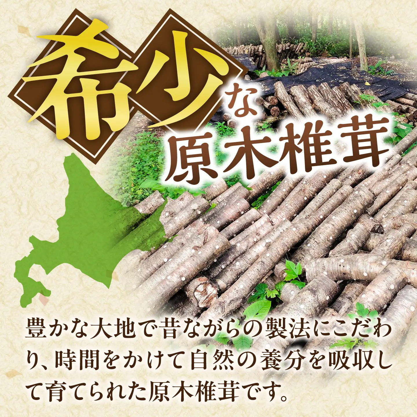 原木 生しいたけ 700g~900g | 合同会社カルシ [BNAU002]