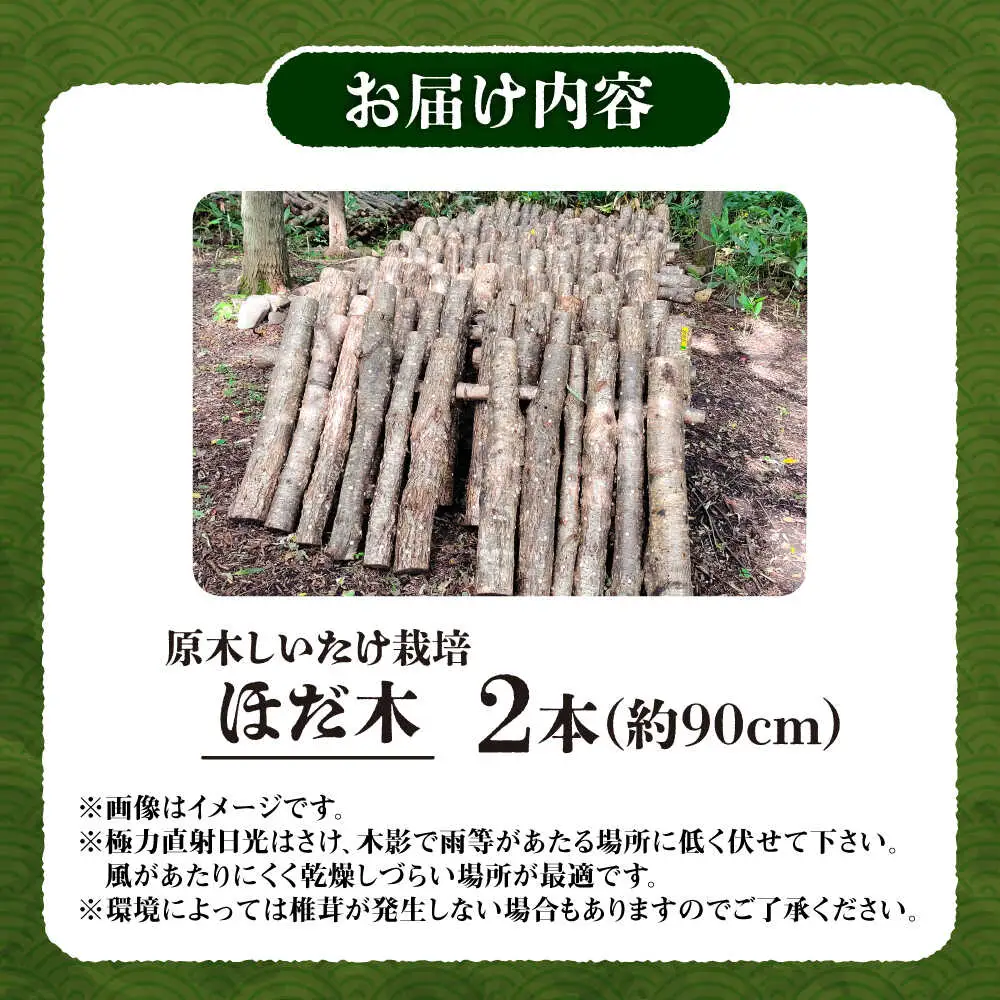 原木しいたけ栽培 ほだ木 2本 しいたけ[BNAU004]