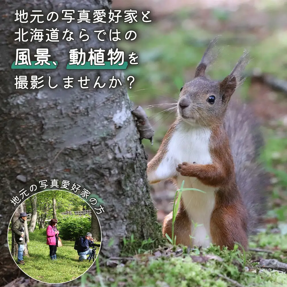 まちなか散策フォトツアー体験チケット(１人分)【3201201】