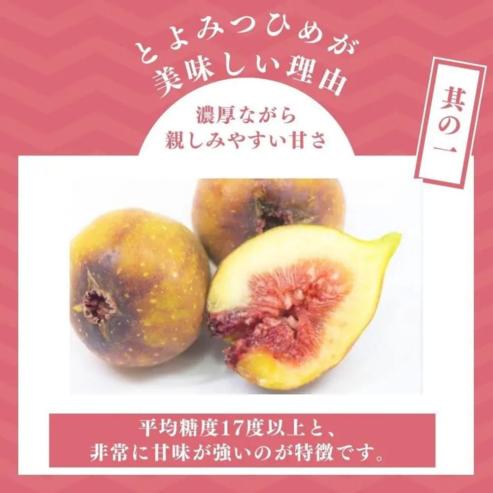 【2026年9月下旬より順次発送】福岡県産 とよみつ姫 約1.2kg以上(約300g×4パック入り) うまうまもぐもぐ