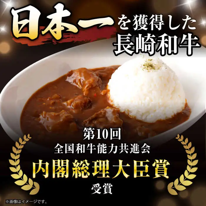 【3回定期便】【肉のプロが贈る 究極のカレー】長崎和牛 A5 カレー 約240g×4袋 / カレーライス かれー レトルト 牛 和牛 / 諫早市 / 野中精肉店 [AHCW098]