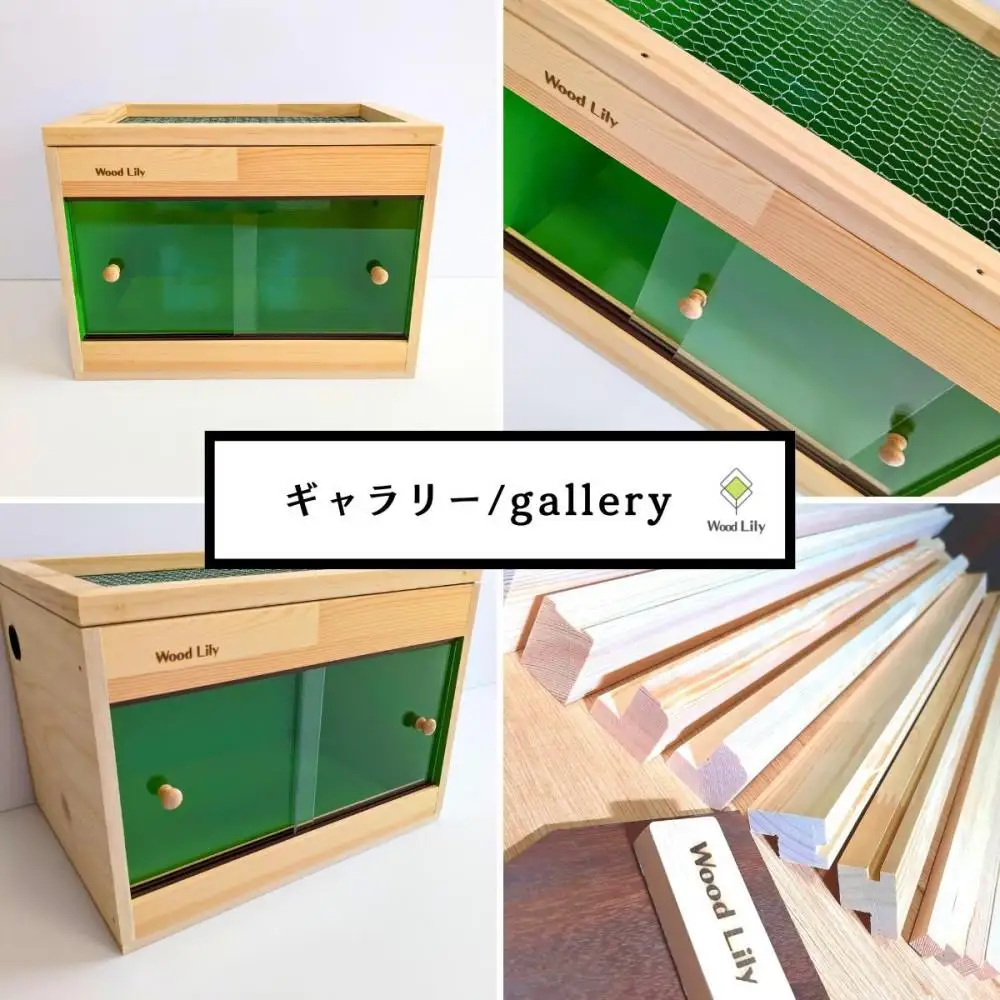 【歴40年大工監修】強固な爬虫類ケージ(グリーン)60×30×30cm (169606-40037651-gr)
