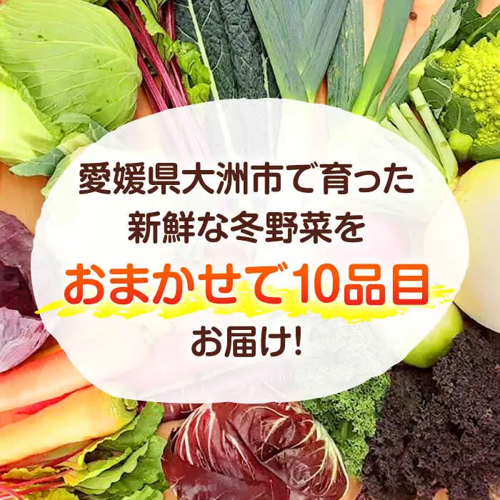 冬 野菜 【11月中旬から順次発送】 おまかせ便10種 冬 野菜 かとう旬菜畑直送 [AGCW001]