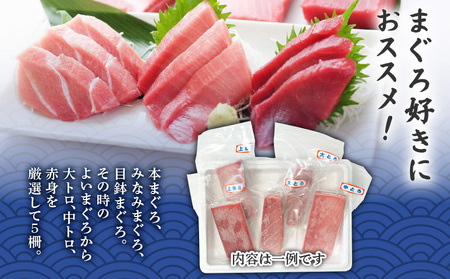 三崎のまぐろ食べ比べセット M006-010 冷凍 マグロ