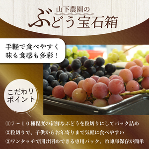 【 ぶどう 】 ぶどう 詰合わせ 2.4kg 2026年8月発送