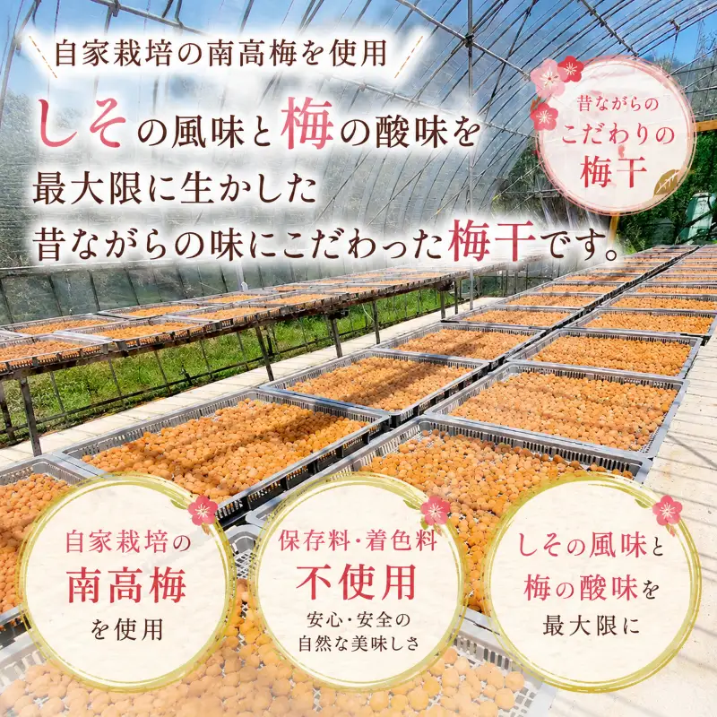 【 梅干し 】 梅干 1kg 大梅 保存料不使用