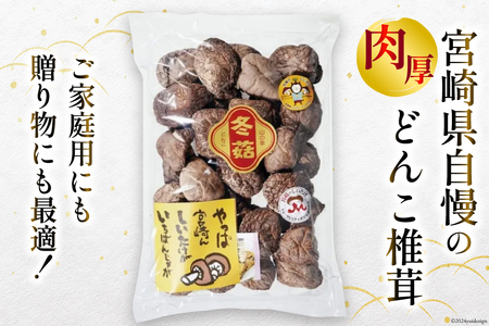 宮崎県産 乾椎茸 ギフト どんこ 「TD-20」 165g 肉厚