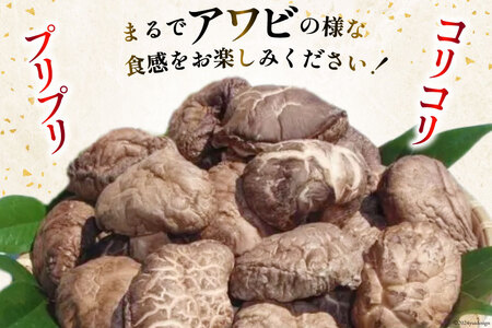 宮崎県産 乾椎茸 ギフト どんこ「M-30」 150g 肉厚