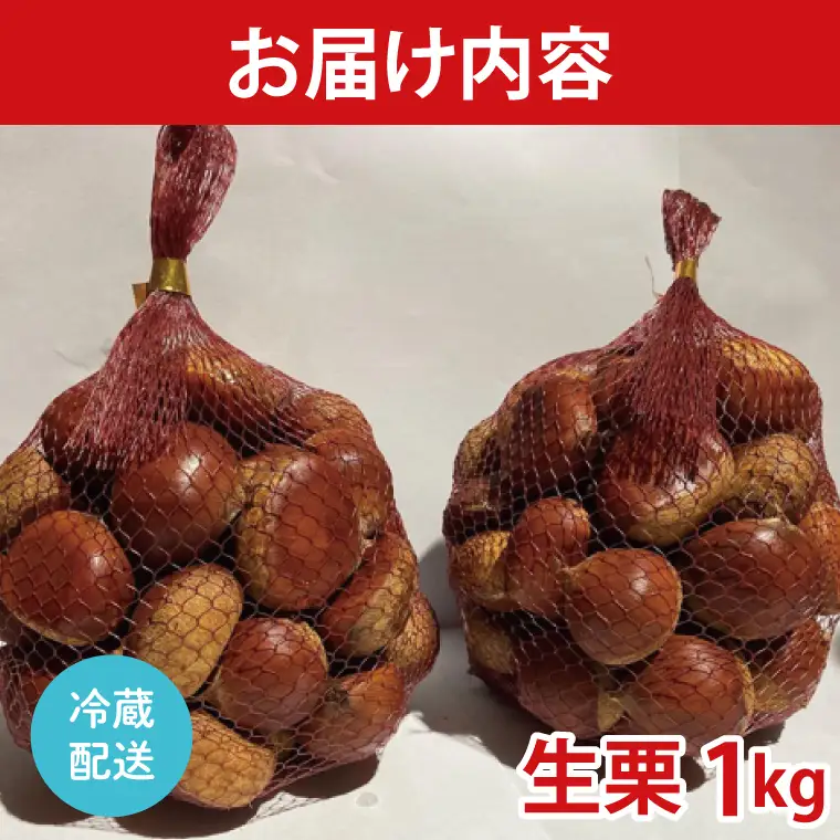 【2026年9月中旬より順次発送】石岡市鶴沼の栗（生栗）1kg（茨城県共通返礼品/石岡市）（KN-4）