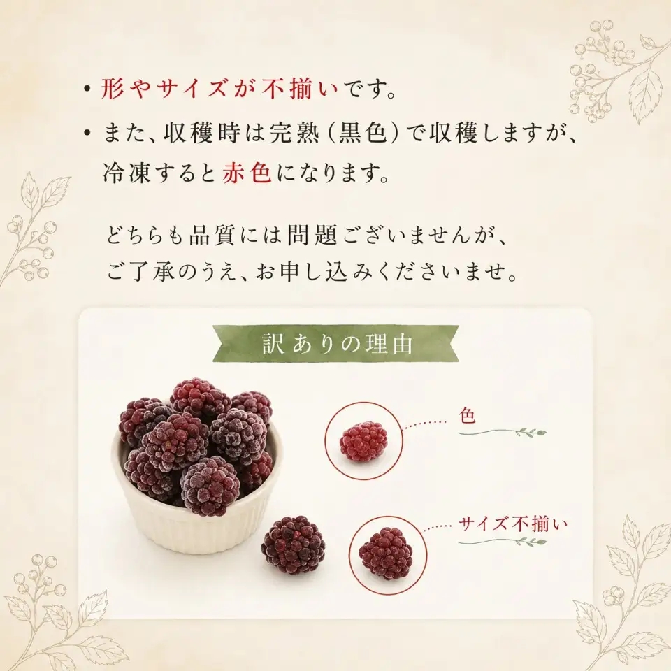 【ふるさと納税】＜【加工用・訳あり】冷凍ブラックベリー約1.5kg＞ふるーつ fruit ヒロの果樹園からMIYAMOTOFARM が受け継ぎました 冷凍フルーツ フローズン スムージー チャック付き袋入り 家庭用 高知県 佐川町 （栽培期間中 化学農薬化学肥料不使用）