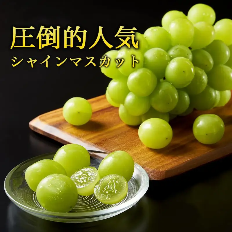 令和8年産 新鮮 シャインマスカット 1kg 山形県産 【2026年9月中旬から10月頃発送予定】 ※配送不可 沖縄・離島　013-B-JA008