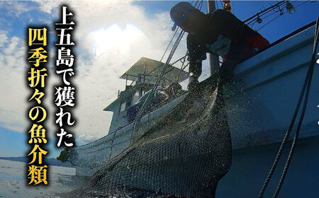 五島 干物6種セット[RAF001] 干物 ひもの 五島 鮮魚 五島列島 干物 ひもの 五島 鮮魚 五島列島 干物 ひもの 五島 鮮魚 五島列島 干物 ひもの 五島 鮮魚 五島列島九州 長崎