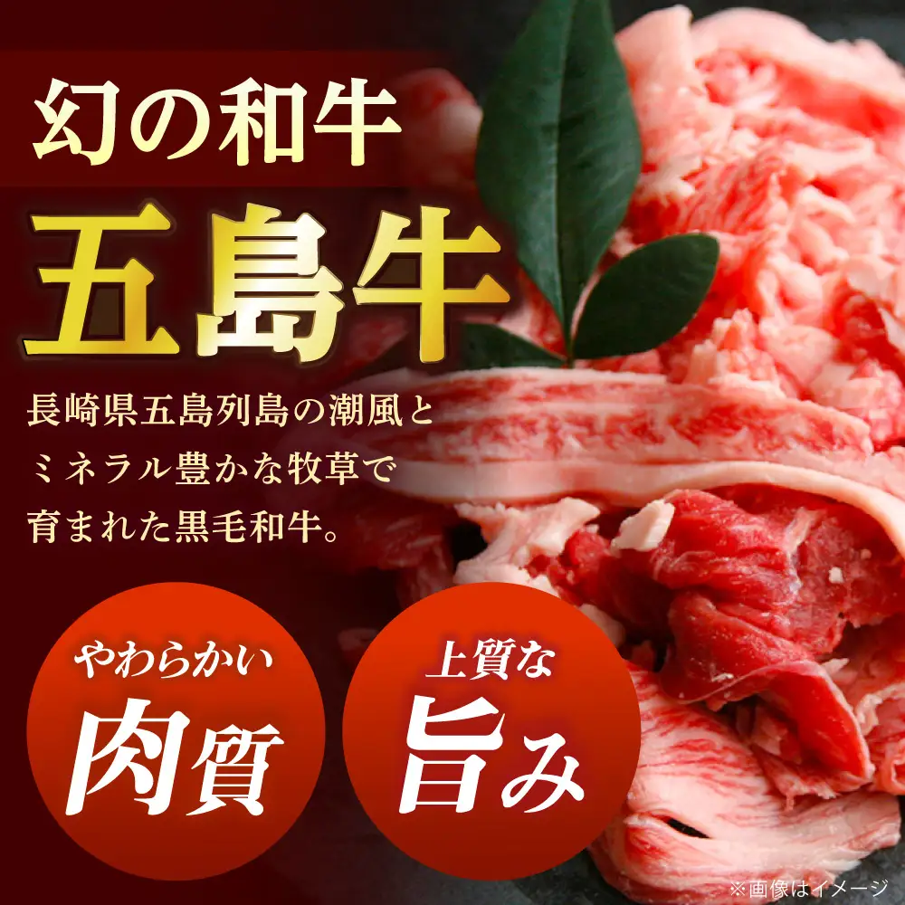 【全3回定期便】五島牛焼肉セット 肩ロース バラ 700g 約4人前[RAT006] 肉 焼肉 牛肉 五島牛 切り落とし 定期便 肉 焼肉 牛肉 五島牛 切り落とし 定期便九州 長崎
