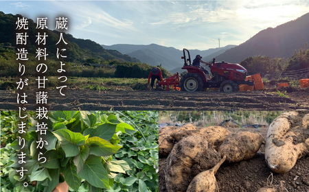 【全12回定期便】明治之芋 五島灘 1800ml×1本[RAW044] 焼酎 芋焼酎 定期便 焼酎 芋焼酎 定期便 焼酎 芋焼酎 定期便 焼酎 芋焼酎 定期便 焼酎 芋焼酎 定期便九州 長崎