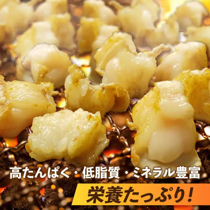 【脂が甘くてぷりっぷり！】佐賀牛ホルモン 焼肉用 小腸 500g（250g×2）味付けなし 吉野ヶ里町/やきとり紋次郎[FCJ089]