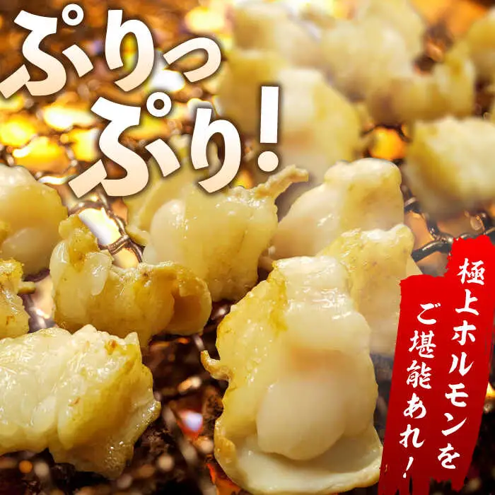 【全3回定期便】 【脂が甘くてぷりっぷり！】佐賀牛ホルモン 焼肉用 小腸 計1.5kg（250g/袋）味付けなし 吉野ヶ里町/やきとり紋次郎[FCJ091]