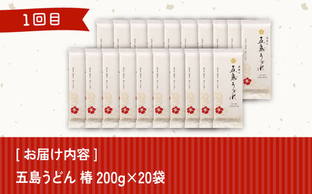 【全6回定期便】五島列島お楽しみ定期便 月6,000円コース[RBA052] 五島うどん うどん 詰め合わせ 定期便 五島うどん うどん 詰め合わせ 定期便九州 長崎