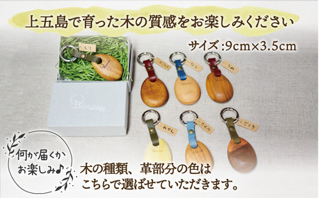 島の木のしずくキーホルダー[RBF003] 椿 つばき キーホルダー 椿 つばき キーホルダー 椿 つばき キーホルダー 椿 つばき キーホルダー 椿 つばき キーホルダー九州 長崎