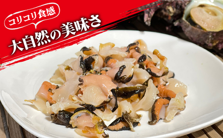 新上五島町産活サザエ 殻付き2kg[RBK001] さざえ サザエ 海鮮 さざえ サザエ 海鮮 さざえ サザエ 海鮮 さざえ サザエ 海鮮 さざえ サザエ 海鮮九州 長崎