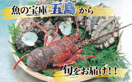 豪華セット アワビ 伊勢海老 サザエ[RBN002]  九州 長崎