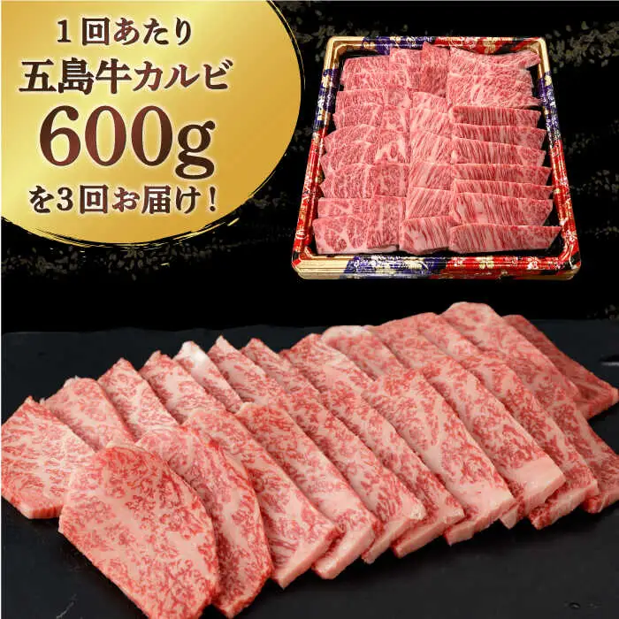 【全3回定期便】五島牛特選カルビ 600g 焼肉 牛肉 牛 肉 和牛 赤身[RBP041] 五島牛 カルビ 定期便 五島牛 カルビ 定期便 五島牛 カルビ 定期便九州 長崎