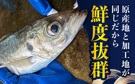 干物 約1kg 3-4種[RBV002] 干物 干物 干物 干物 