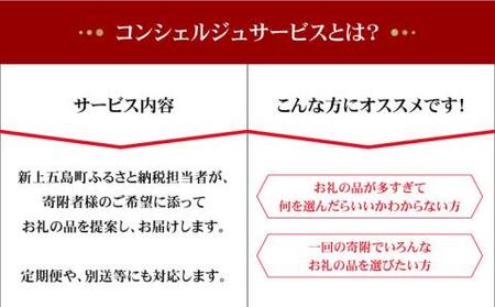 返礼品おまかせ！寄附額100万円コース[RZZ003] あとから コンシェルジュ あとから コンシェルジュ あとから コンシェルジュ あとから コンシェルジュ あとから コンシェルジュ九州 長崎