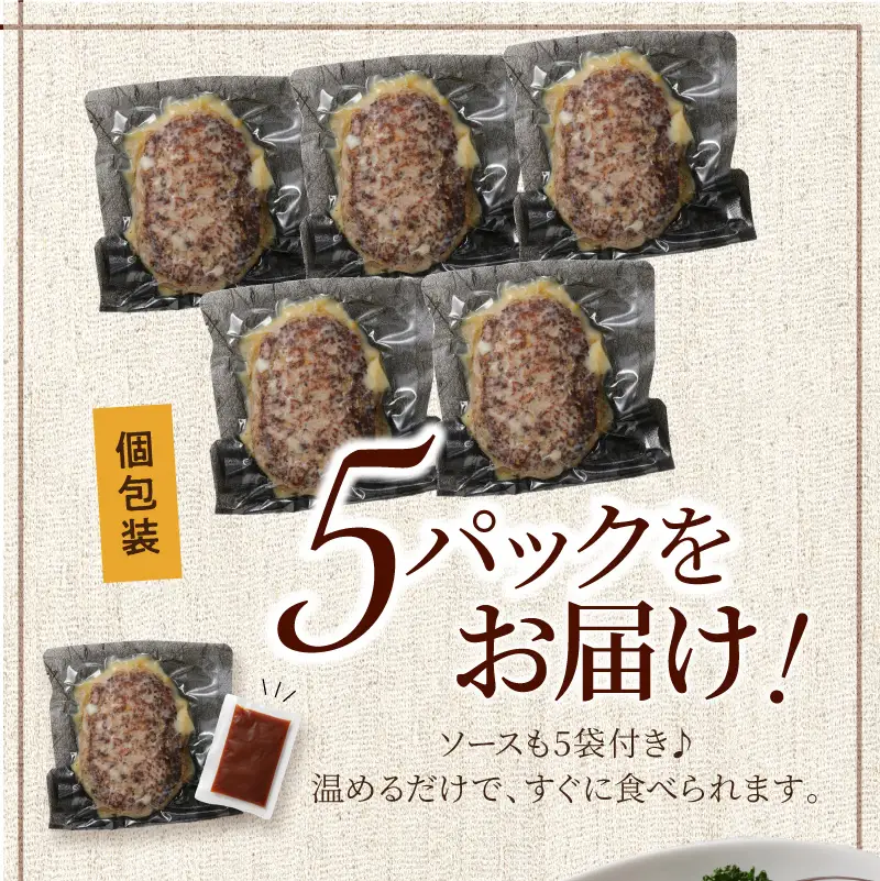 本格調理済ハンバーグ特製ソース付5食【001-0305】