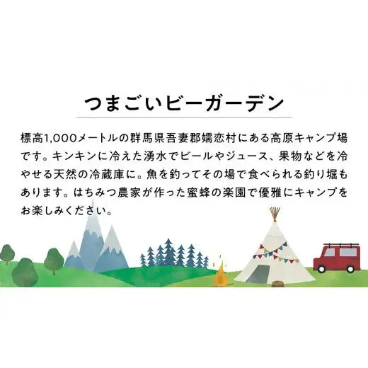 オートキャンプ 利用券 宿泊プラン ( 1名 ※ 小学生以下 無料 ) つまごいビーガーデン [AC006tu]