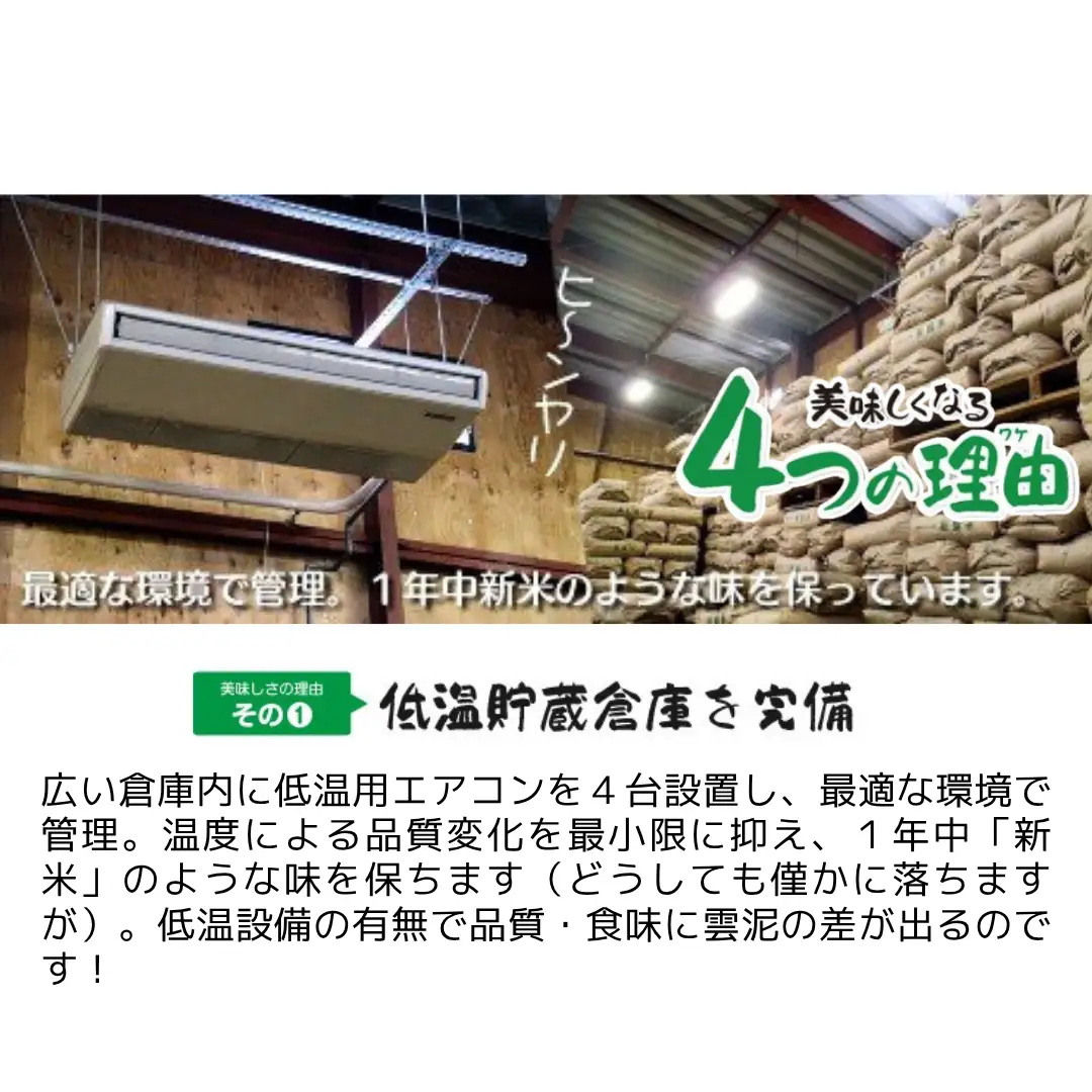 【先行予約】令和8年産 五泉産コシヒカリ 5kg わくわく農場 | コシヒカリ 白米 米 新潟県産 五泉市