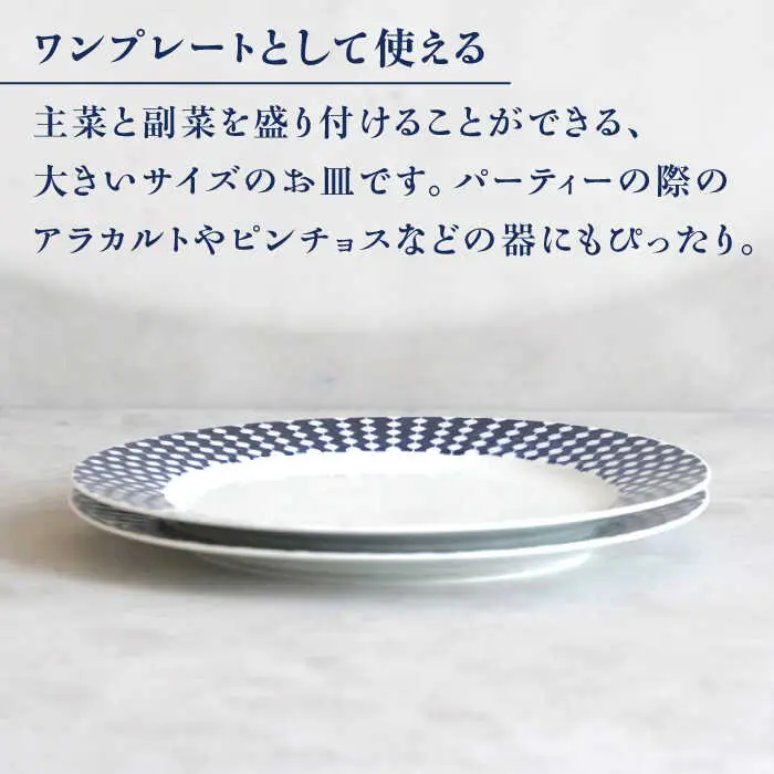 【波佐見焼】dye8号リムプレート 25cm皿 ストレート柄 2点セット【西海陶器】[OA388]