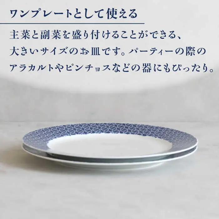 【波佐見焼】dye8号リムプレート 25cm皿 ラウンド柄 2点セット【西海陶器】[OA389]