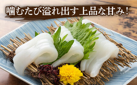 【全2回定期便】剣先 イカ 刺身 セット 1kg [WAD051]あかいか まるいか