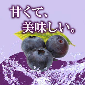ブルーベリージャム 120g×5個 ブルーベリージャム ブルーベリージャム ブルーベリージャム ブルーベリージャム ブルーベリージャム