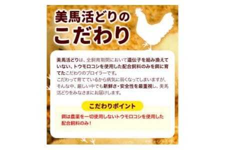 鶏肉 3kg モモ ムネ ササミ 詰め合わせ